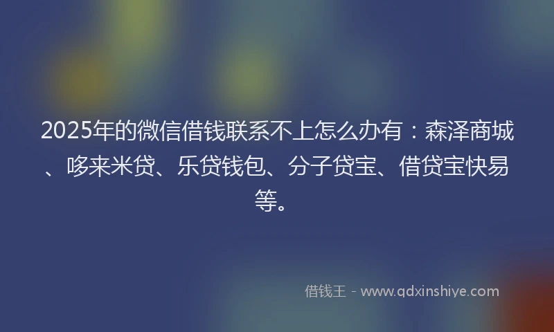 2025年的微信借钱联系不上怎么办有：森泽商城、哆来米贷、乐贷钱包、分子贷宝、借贷宝快易等。