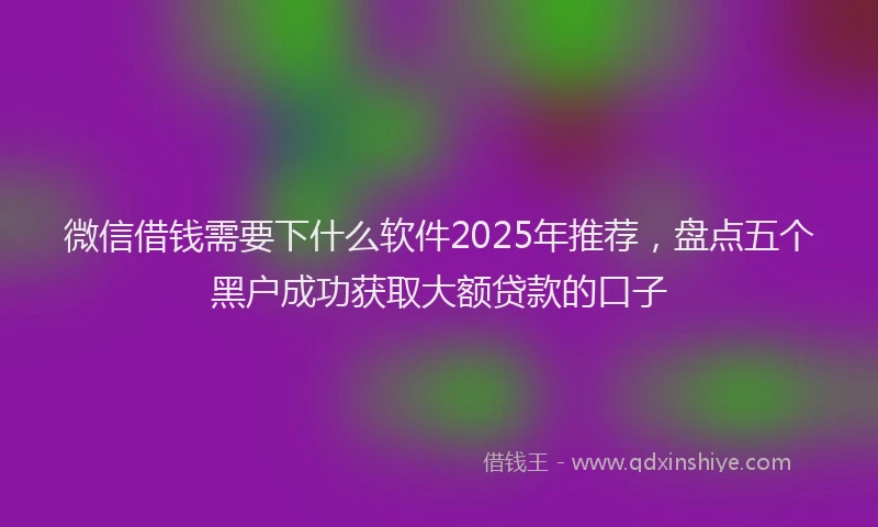 微信借钱需要下什么软件2025年推荐，盘点五个黑户成功获取大额贷款的口子