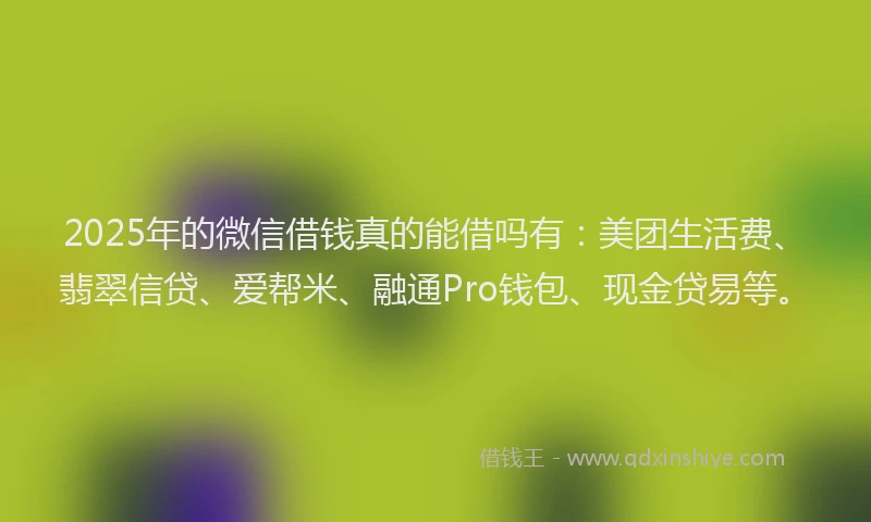 2025年的微信借钱真的能借吗有：美团生活费、翡翠信贷、爱帮米、融通Pro钱包、现金贷易等。