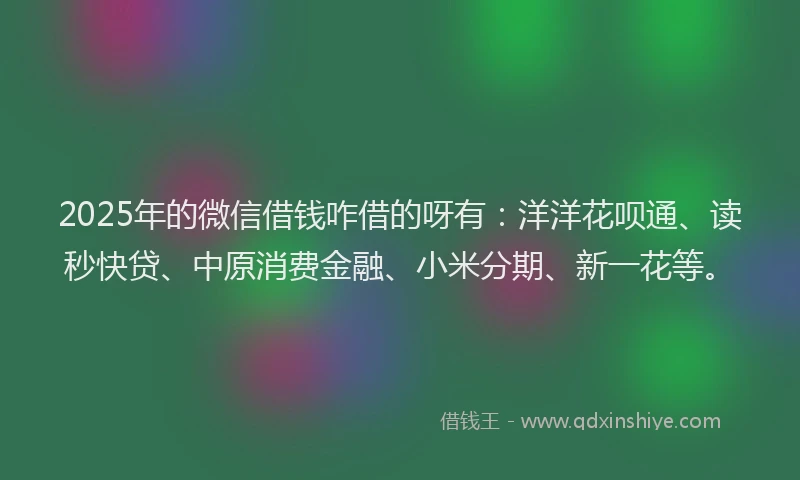 2025年的微信借钱咋借的呀有：洋洋花呗通、读秒快贷、中原消费金融、小米分期、新一花等。