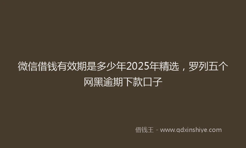微信借钱有效期是多少年2025年精选，罗列五个网黑逾期下款口子