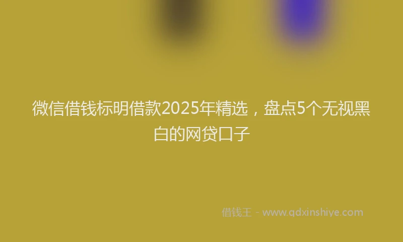 微信借钱标明借款2025年精选，盘点5个无视黑白的网贷口子