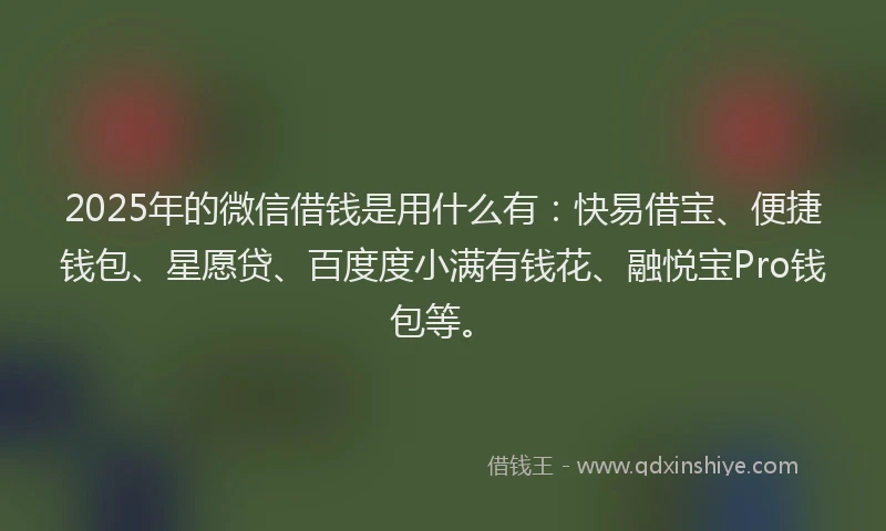2025年的微信借钱是用什么有：快易借宝、便捷钱包、星愿贷、百度度小满有钱花、融悦宝Pro钱包等。