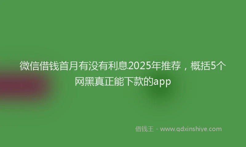 微信借钱首月有没有利息2025年推荐，概括5个网黑真正能下款的app