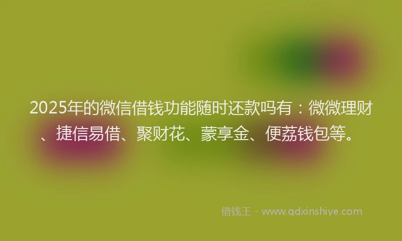 2025年的微信借钱功能随时还款吗有：微微理财、捷信易借、聚财花、蒙享金、便荔钱包等。