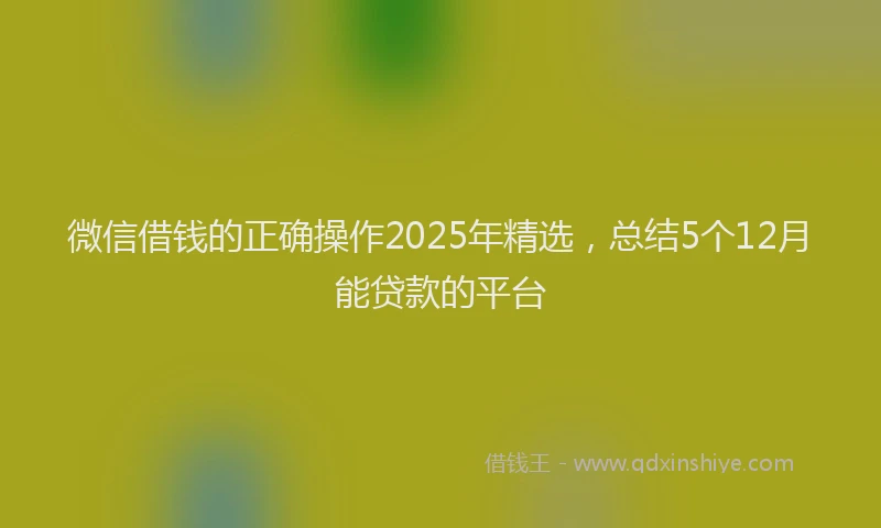 微信借钱的正确操作2025年精选，总结5个12月能贷款的平台