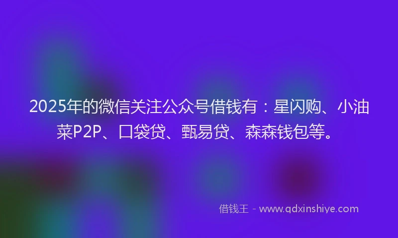 2025年的微信关注公众号借钱有：星闪购、小油菜P2P、口袋贷、甄易贷、森森钱包等。