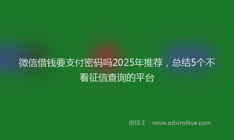 微信借钱要支付密码吗2025年推荐，总结5个不看征信查询的平台