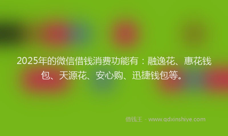 2025年的微信借钱消费功能有：融逸花、惠花钱包、天源花、安心购、迅捷钱包等。