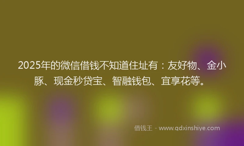 2025年的微信借钱不知道住址有：友好物、金小豚、现金秒贷宝、智融钱包、宜享花等。