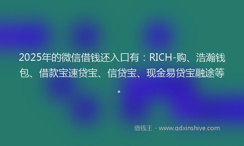 2025年的微信借钱还入口有：RICH-购、浩瀚钱包、借款宝速贷宝、信贷宝、现金易贷宝融途等。