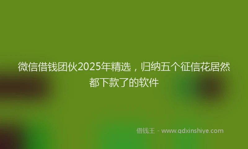 微信借钱团伙2025年精选，归纳五个征信花居然都下款了的软件