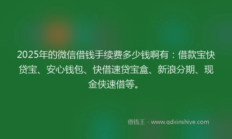 2025年的微信借钱手续费多少钱啊有：借款宝快贷宝、安心钱包、快借速贷宝盒、新浪分期、现金侠速借等。