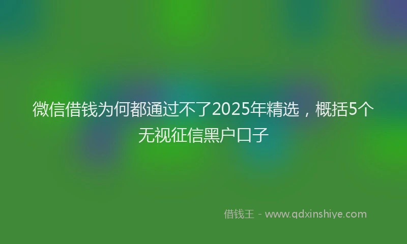 微信借钱为何都通过不了2025年精选，概括5个无视征信黑户口子