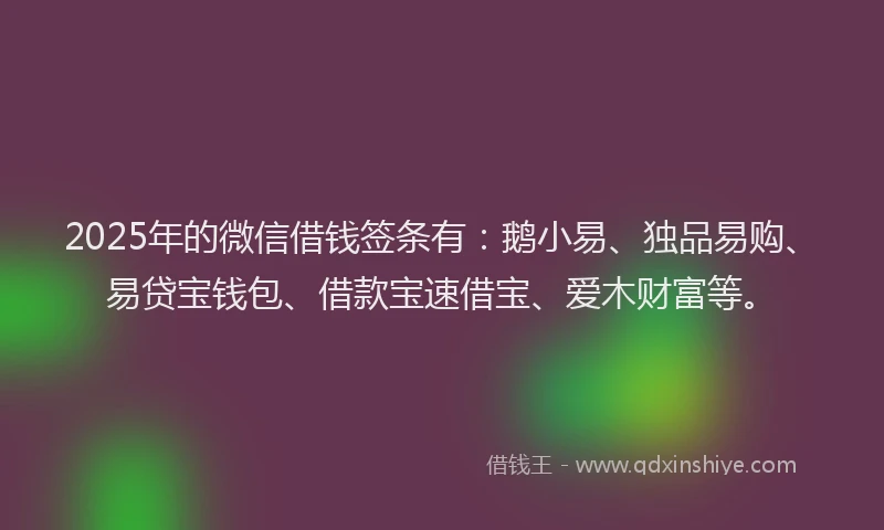 2025年的微信借钱签条有：鹅小易、独品易购、易贷宝钱包、借款宝速借宝、爱木财富等。
