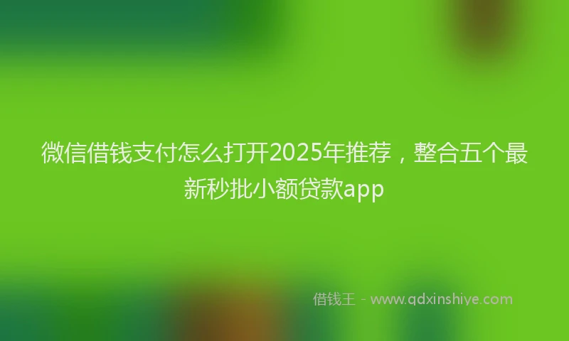 微信借钱支付怎么打开2025年推荐，整合五个最新秒批小额贷款app