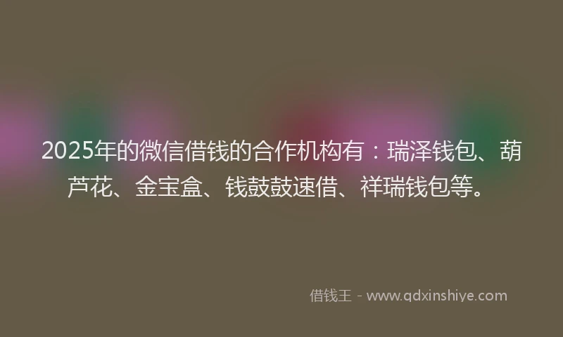 2025年的微信借钱的合作机构有：瑞泽钱包、葫芦花、金宝盒、钱鼓鼓速借、祥瑞钱包等。