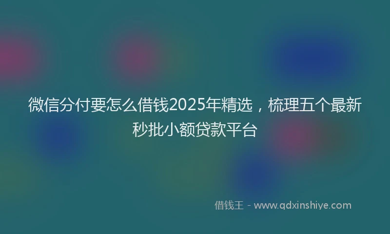 微信分付要怎么借钱2025年精选，梳理五个最新秒批小额贷款平台