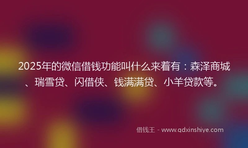 2025年的微信借钱功能叫什么来着有：森泽商城、瑞雪贷、闪借侠、钱满满贷、小羊贷款等。