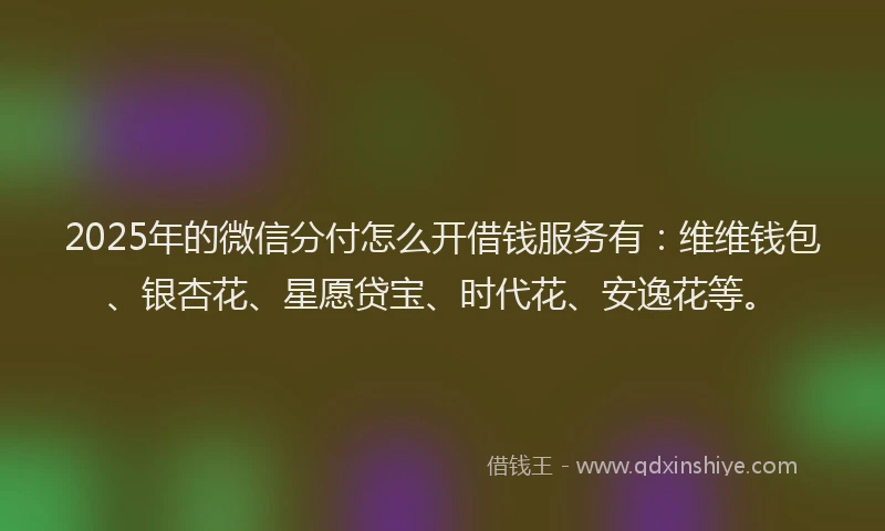 2025年的微信分付怎么开借钱服务有：维维钱包、银杏花、星愿贷宝、时代花、安逸花等。