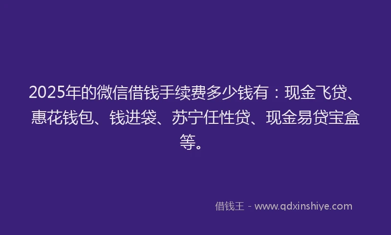 2025年的微信借钱手续费多少钱有：现金飞贷、惠花钱包、钱进袋、苏宁任性贷、现金易贷宝盒等。