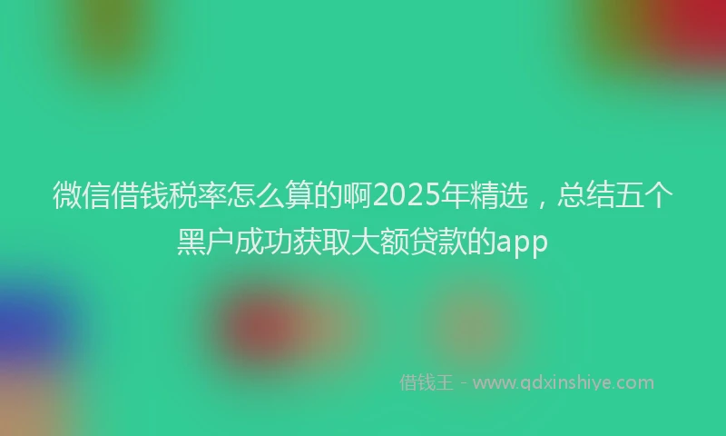 微信借钱税率怎么算的啊2025年精选，总结五个黑户成功获取大额贷款的app