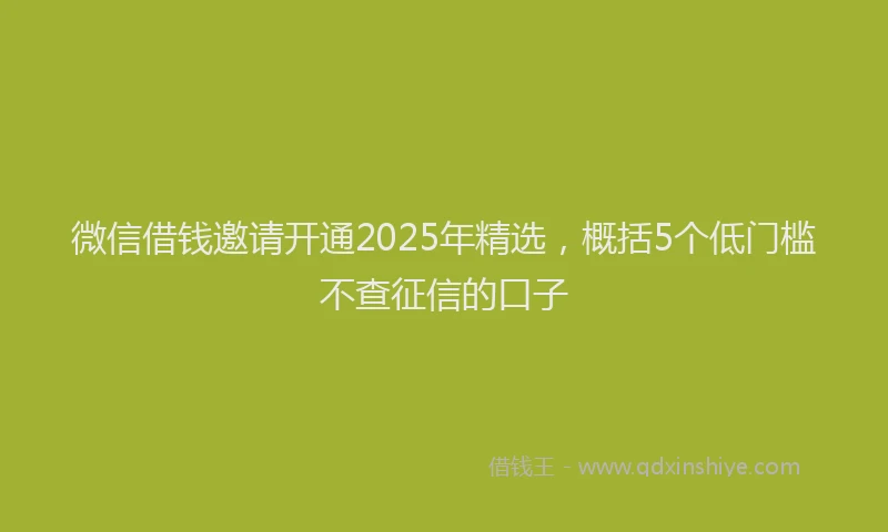 微信借钱邀请开通2025年精选，概括5个低门槛不查征信的口子