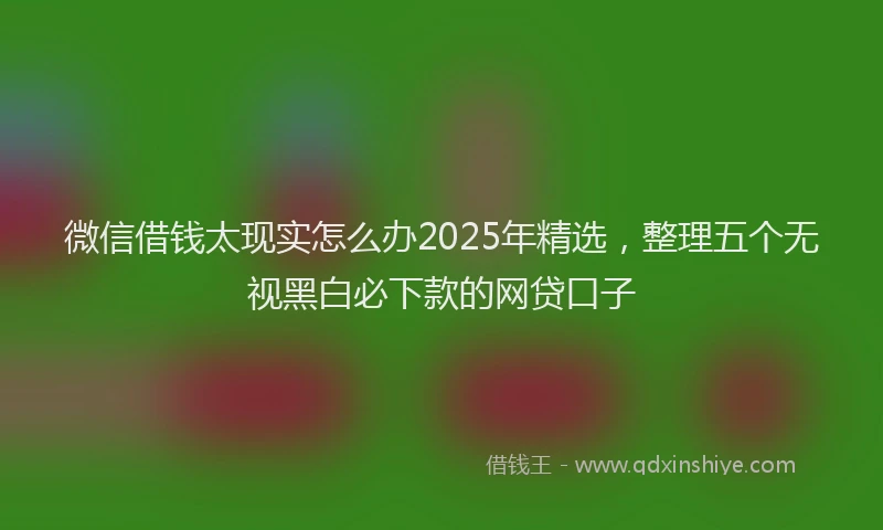微信借钱太现实怎么办2025年精选，整理五个无视黑白必下款的网贷口子