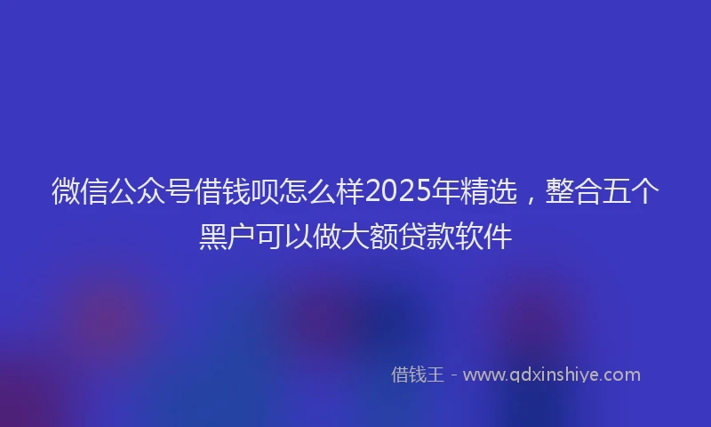微信公众号借钱呗怎么样2025年精选，整合五个黑户可以做大额贷款软件
