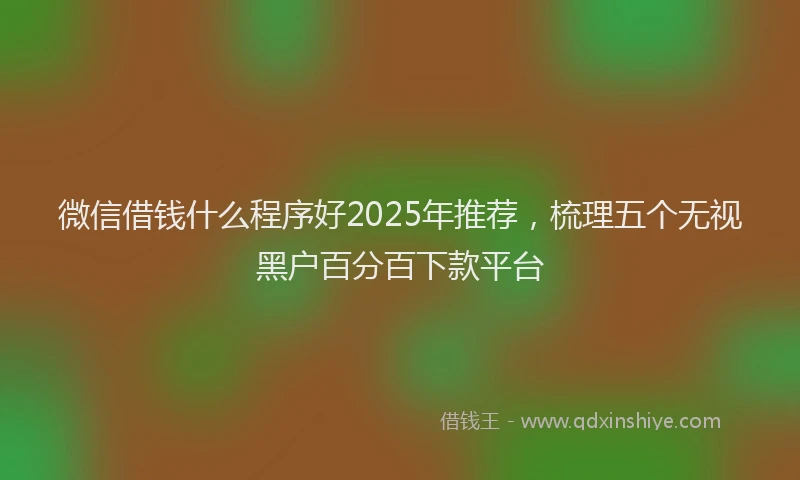 微信借钱什么程序好2025年推荐，梳理五个无视黑户百分百下款平台