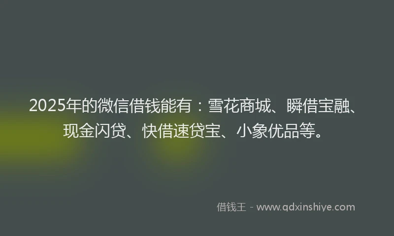 2025年的微信借钱能有：雪花商城、瞬借宝融、现金闪贷、快借速贷宝、小象优品等。