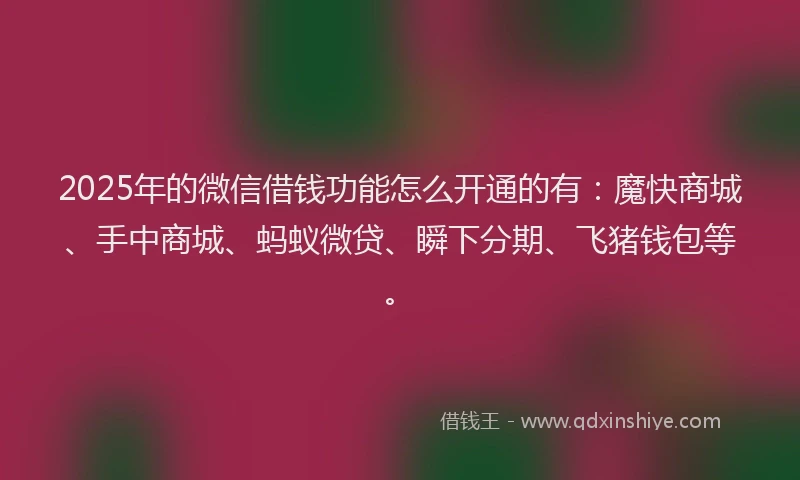 2025年的微信借钱功能怎么开通的有：魔快商城、手中商城、蚂蚁微贷、瞬下分期、飞猪钱包等。