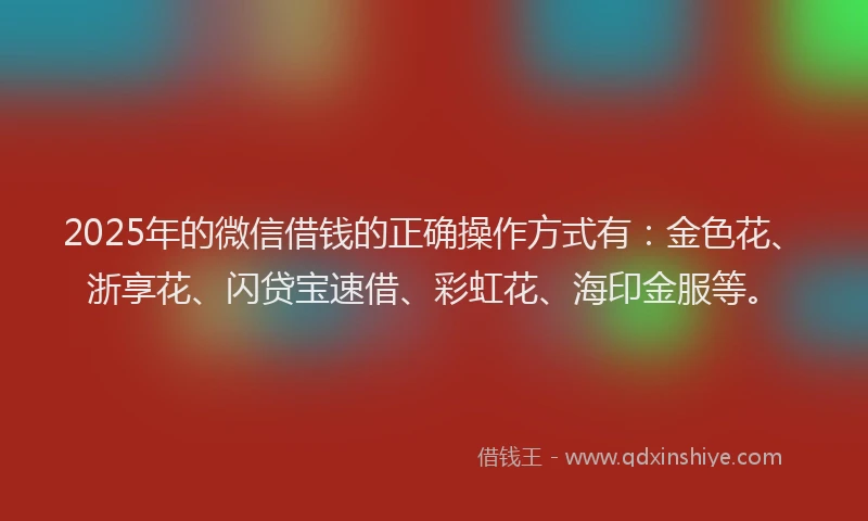 2025年的微信借钱的正确操作方式有：金色花、浙享花、闪贷宝速借、彩虹花、海印金服等。