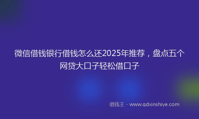 微信借钱银行借钱怎么还2025年推荐，盘点五个网贷大口子轻松借口子