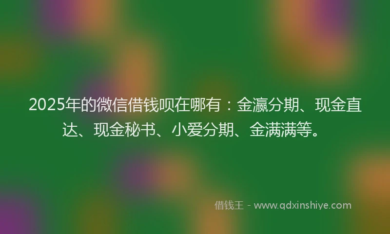 2025年的微信借钱呗在哪有：金瀛分期、现金直达、现金秘书、小爱分期、金满满等。