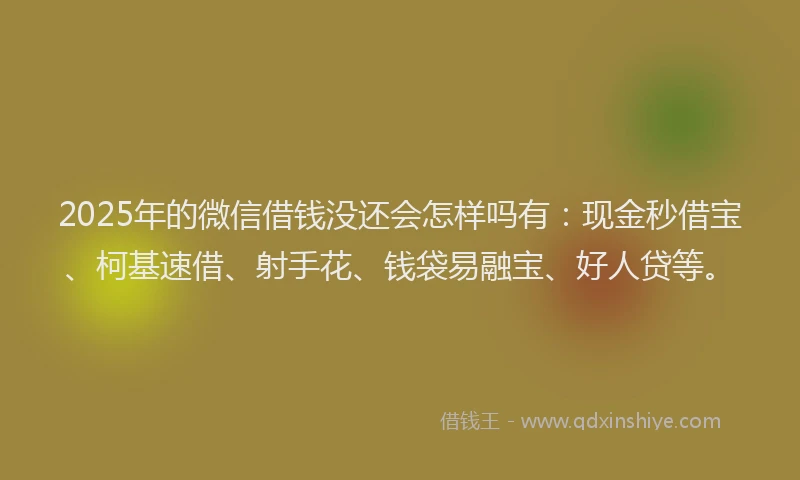 2025年的微信借钱没还会怎样吗有：现金秒借宝、柯基速借、射手花、钱袋易融宝、好人贷等。