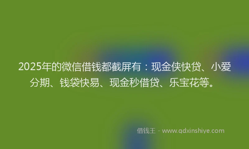 2025年的微信借钱都截屏有：现金侠快贷、小爱分期、钱袋快易、现金秒借贷、乐宝花等。