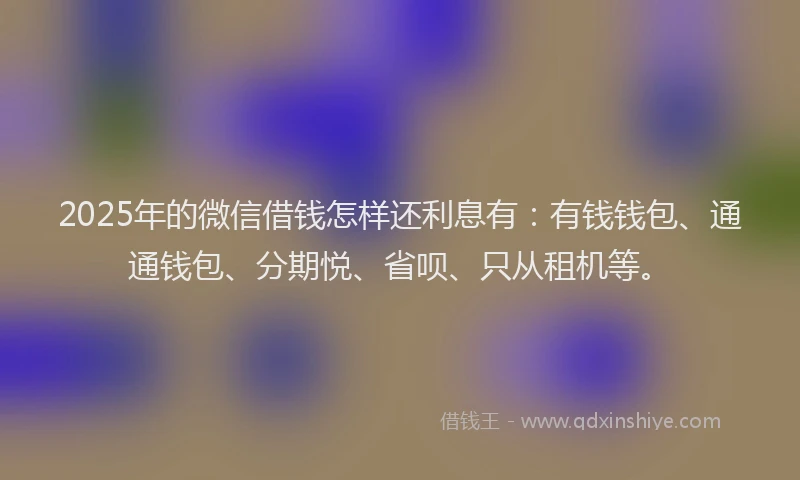 2025年的微信借钱怎样还利息有：有钱钱包、通通钱包、分期悦、省呗、只从租机等。