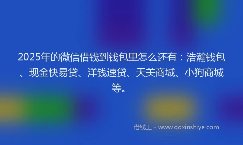 2025年的微信借钱到钱包里怎么还有：浩瀚钱包、现金快易贷、洋钱速贷、天美商城、小狗商城等。