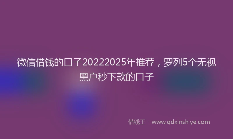 微信借钱的口子20222025年推荐，罗列5个无视黑户秒下款的口子