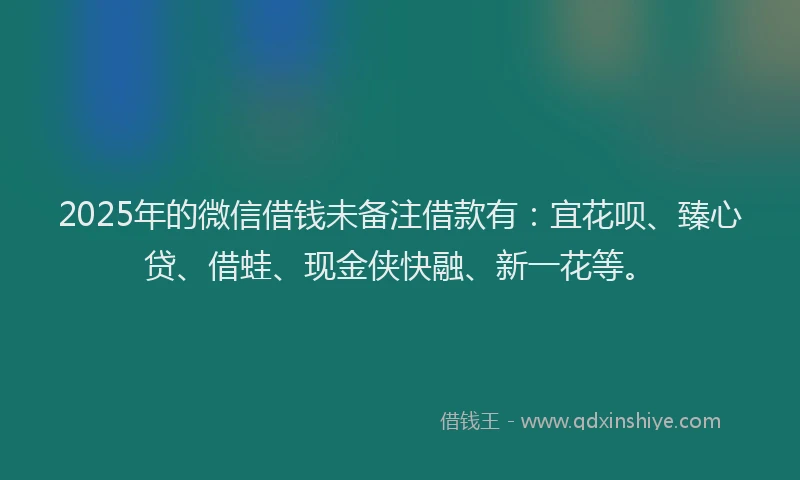 2025年的微信借钱未备注借款有：宜花呗、臻心贷、借蛙、现金侠快融、新一花等。