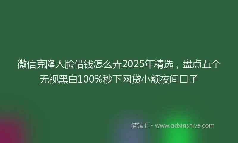 微信克隆人脸借钱怎么弄2025年精选，盘点五个无视黑白100%秒下网贷小额夜间口子