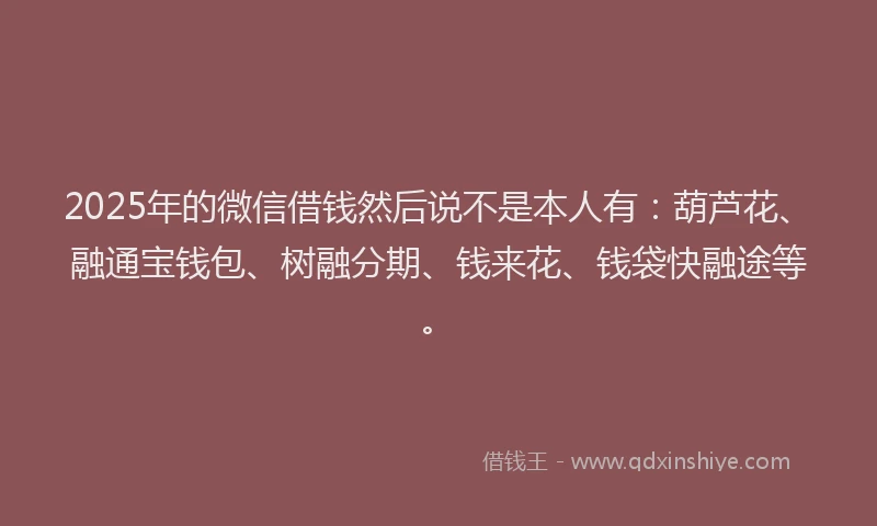 2025年的微信借钱然后说不是本人有：葫芦花、融通宝钱包、树融分期、钱来花、钱袋快融途等。