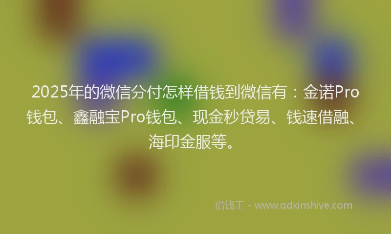 2025年的微信分付怎样借钱到微信有：金诺Pro钱包、鑫融宝Pro钱包、现金秒贷易、钱速借融、海印金服等。