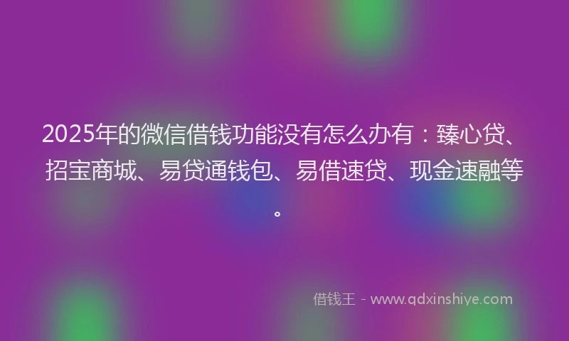 2025年的微信借钱功能没有怎么办有：臻心贷、招宝商城、易贷通钱包、易借速贷、现金速融等。