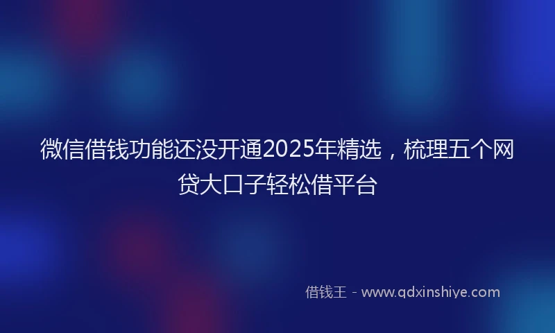 微信借钱功能还没开通2025年精选，梳理五个网贷大口子轻松借平台