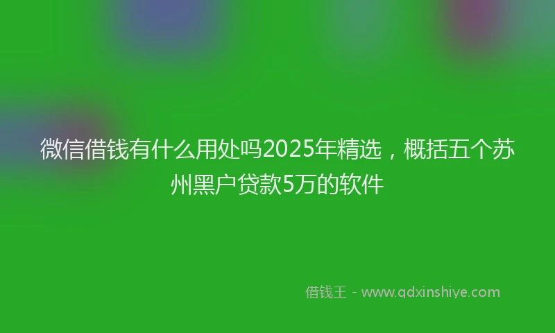 微信借钱有什么用处吗2025年精选，概括五个苏州黑户贷款5万的软件