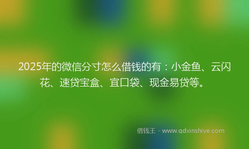 2025年的微信分寸怎么借钱的有：小金鱼、云闪花、速贷宝盒、宜口袋、现金易贷等。