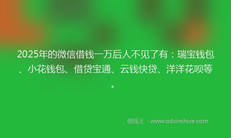 2025年的微信借钱一万后人不见了有：瑞宝钱包、小花钱包、借贷宝通、云钱快贷、洋洋花呗等。