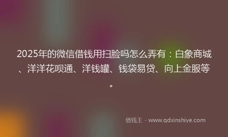 2025年的微信借钱用扫脸吗怎么弄有：白象商城、洋洋花呗通、洋钱罐、钱袋易贷、向上金服等。